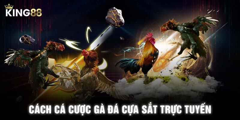 Cách cá cược gà đá cựa sắt trực tuyến