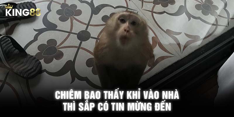 Chiêm bao thấy khỉ vào nhà thì sắp có tin mừng đến