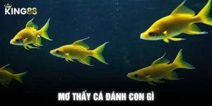 Mơ Thấy Cá Đánh Con Gì